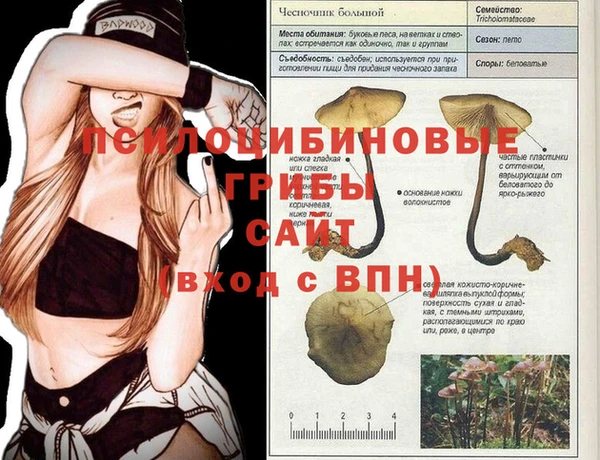 дурь Алзамай