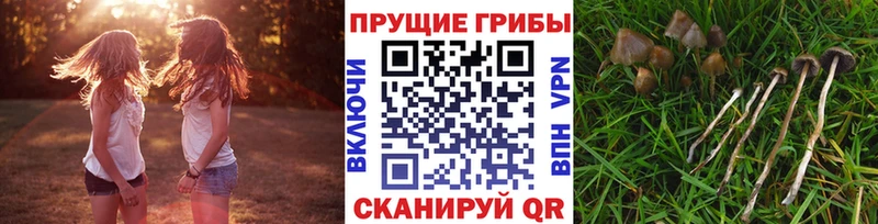 Псилоцибиновые грибы мухоморы  Белореченск 